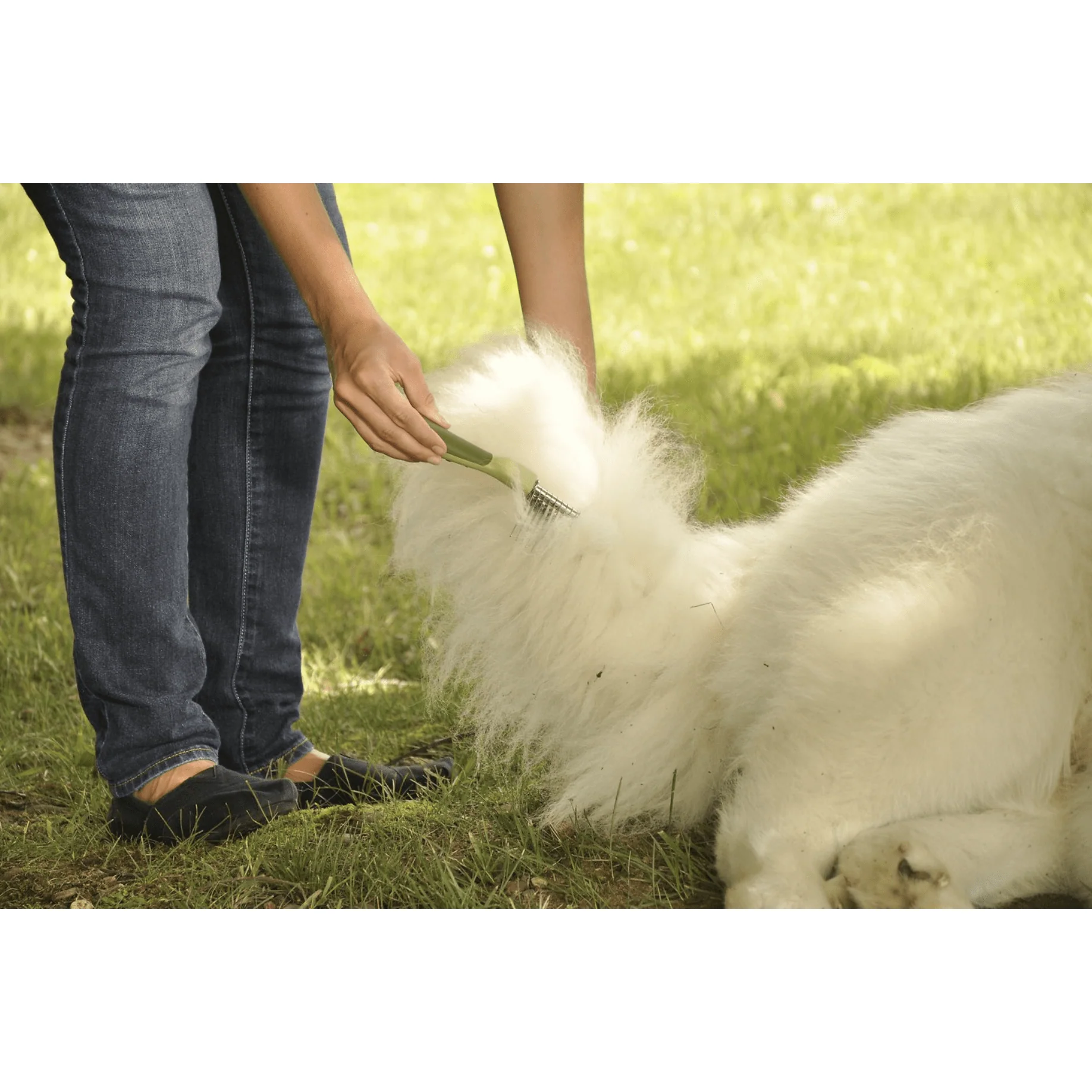 Safari De-Matting Dog Comb - Image 2