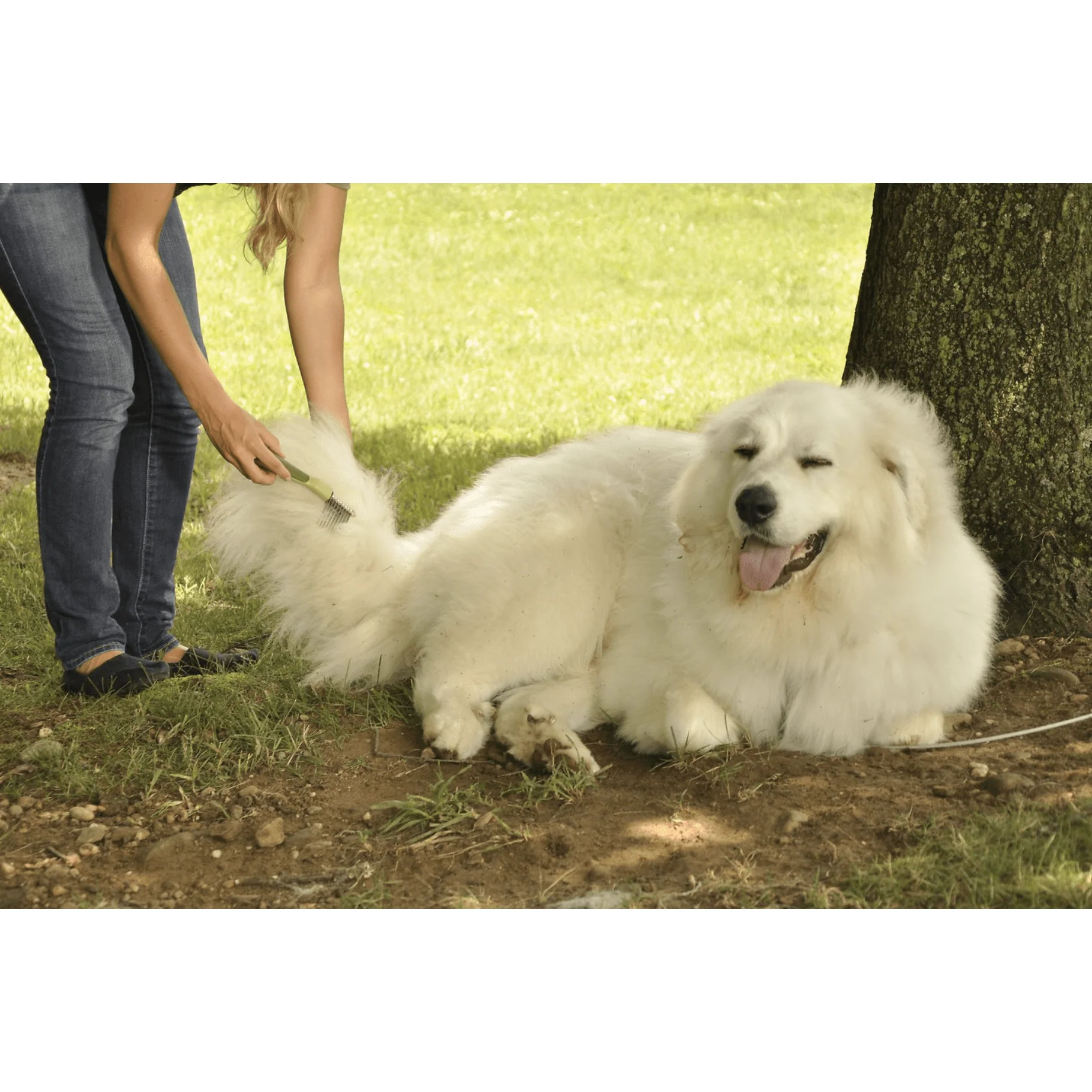 Safari De-Matting Dog Comb - Image 3