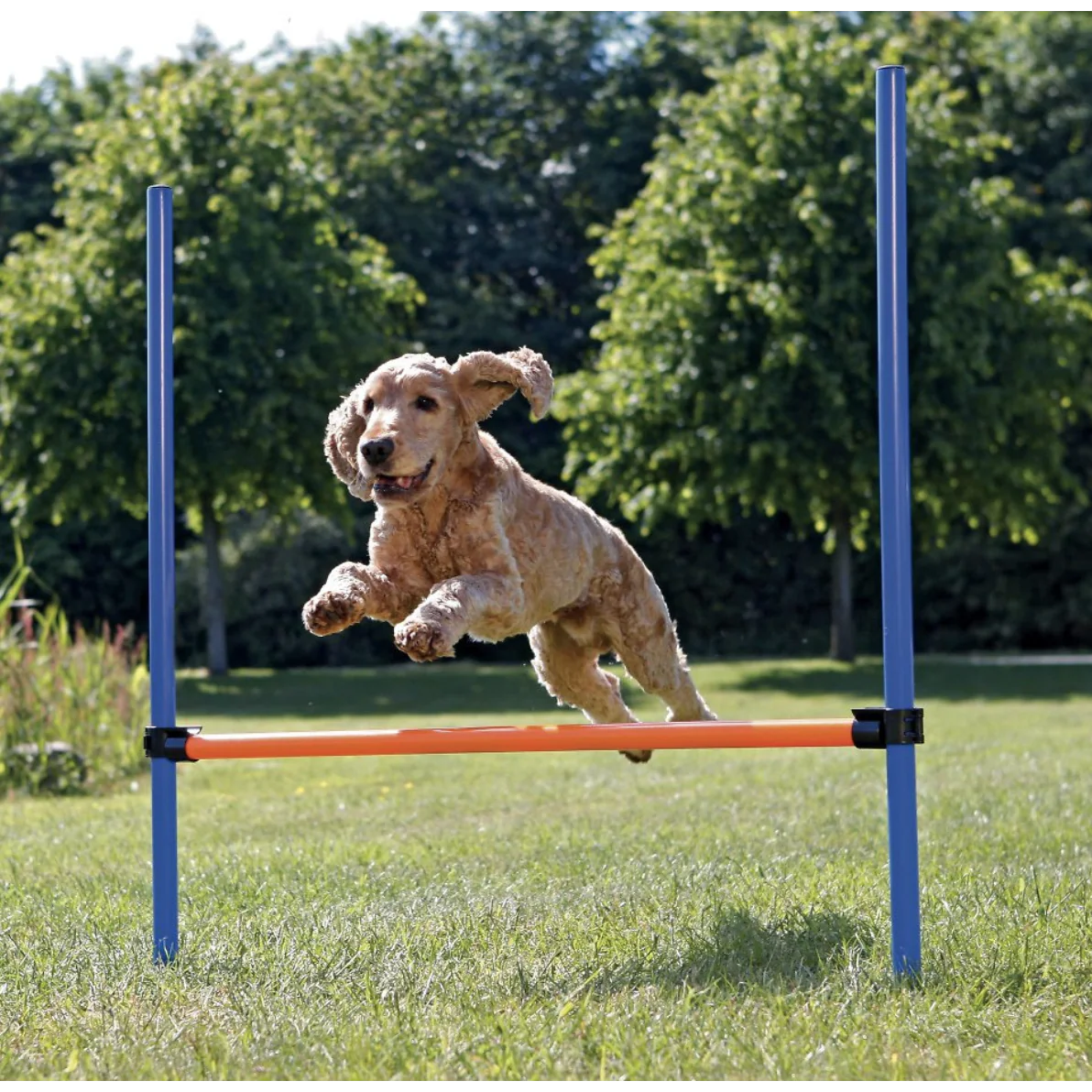 Trixie Agility Dog Training Hurdle - Image 2