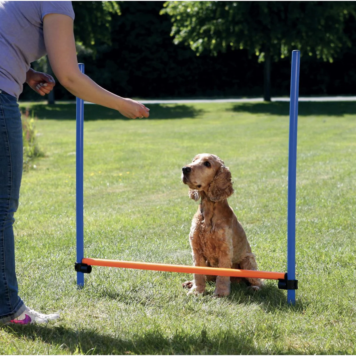 Trixie Agility Dog Training Hurdle - Image 3