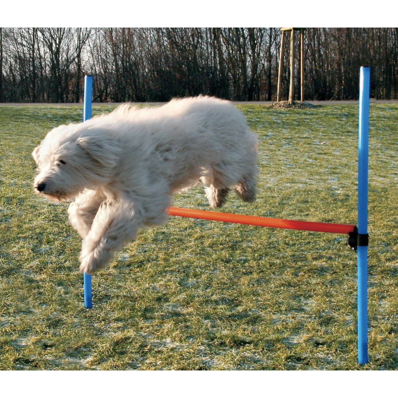 Trixie Agility Dog Training Hurdle - Image 4