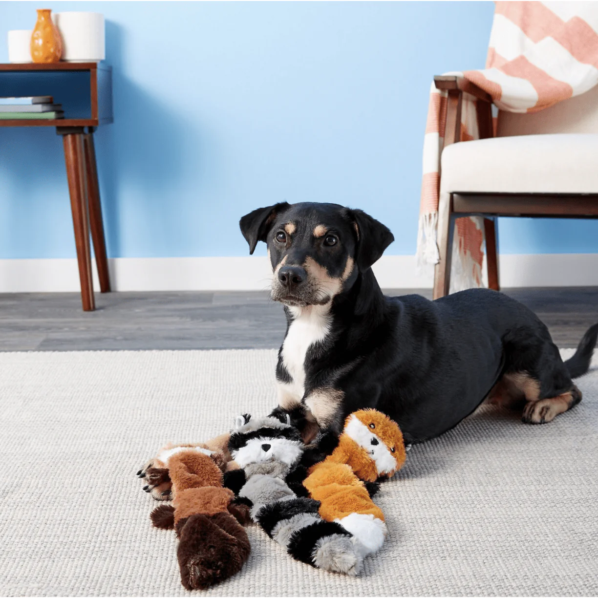 ZippyPaws Skinny Peltz No Stuffing Squeaky Plush Dog Toys, 3-pack, Large - Image 2