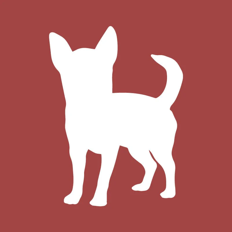 Chihuahua Embroidered AKC Quarter Zip - Image 14