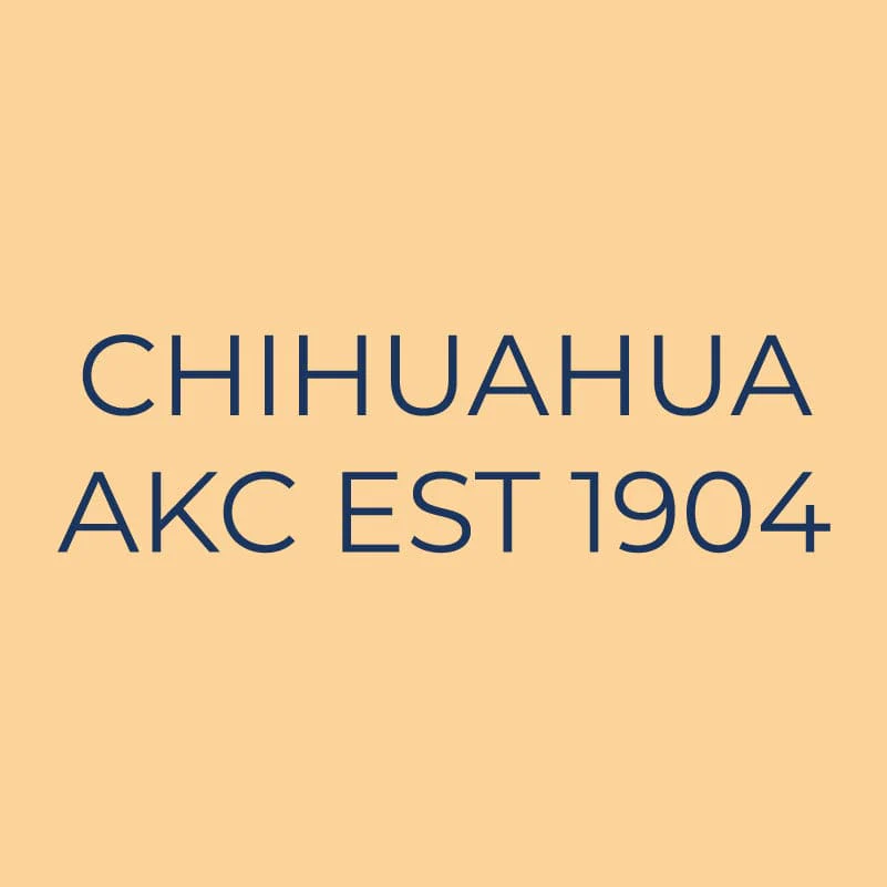 Chihuahua Embroidered AKC Quarter Zip - Image 6