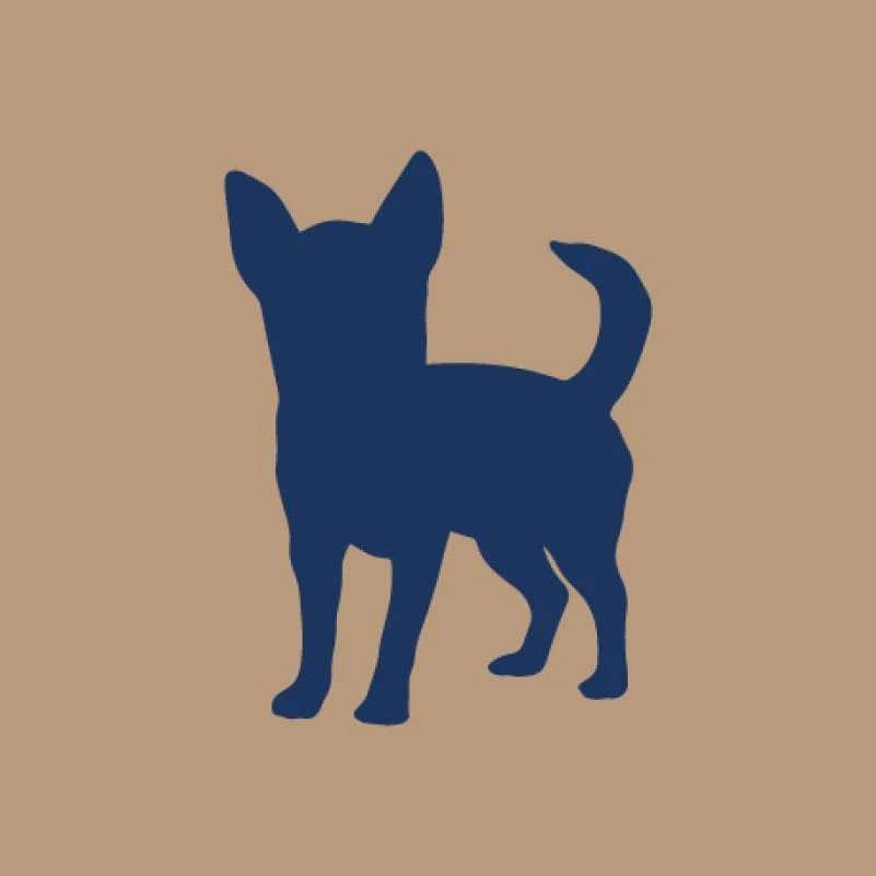 Chihuahua AKC Embroidered Visor - Image 2