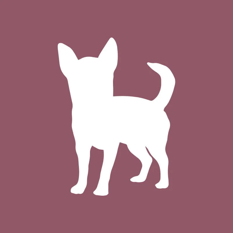 Chihuahua - Beanie - Image 4