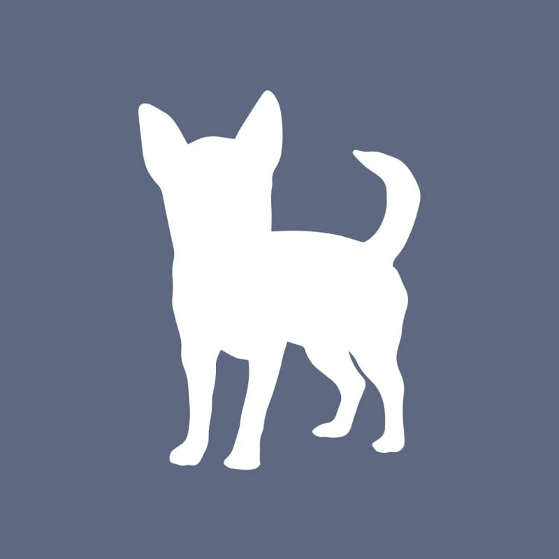 Chihuahua - Beanie - Image 6