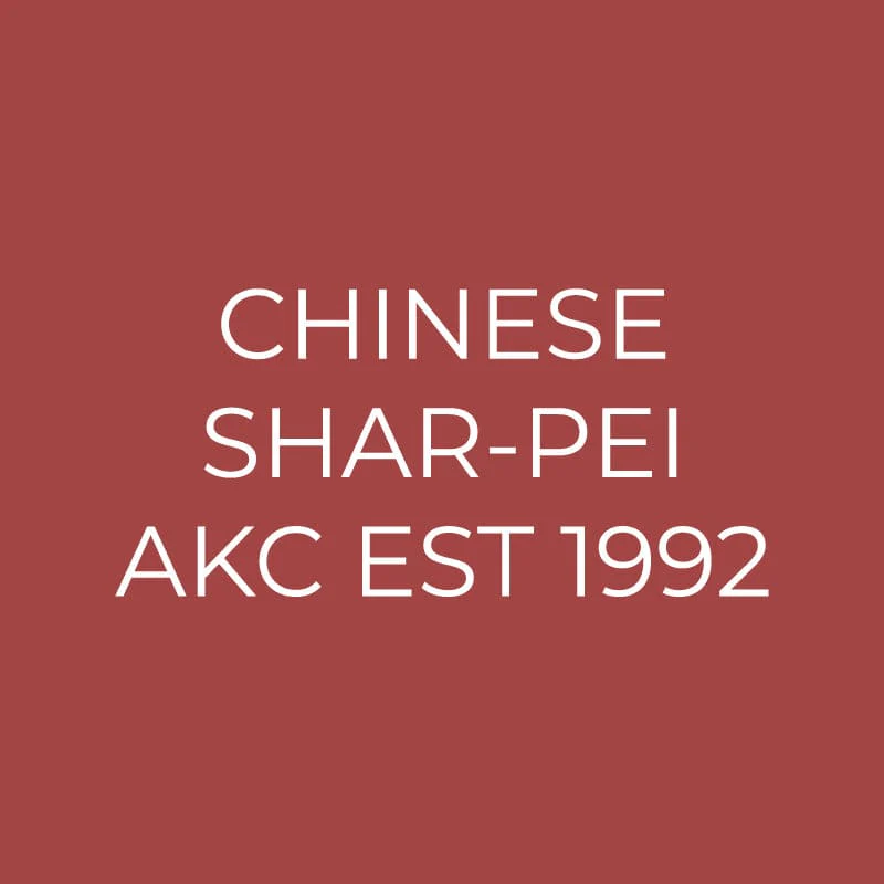 Chinese Shar-Pei Embroidered AKC Quarter Zip - Image 12
