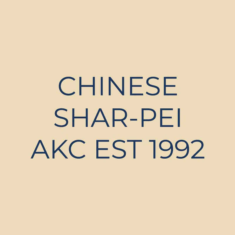 Chinese Shar-Pei Embroidered AKC Quarter Zip - Image 18