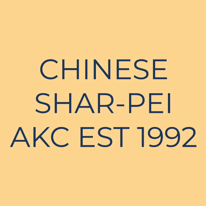 Chinese Shar-Pei Embroidered AKC Quarter Zip - Image 3
