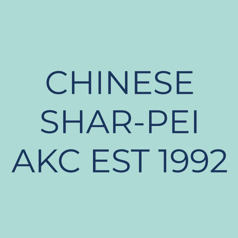 Chinese Shar-Pei Embroidered AKC Quarter Zip - Image 6