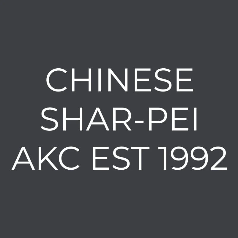 Chinese Shar-Pei  Embroidered AKC Women's Polo - Image 5