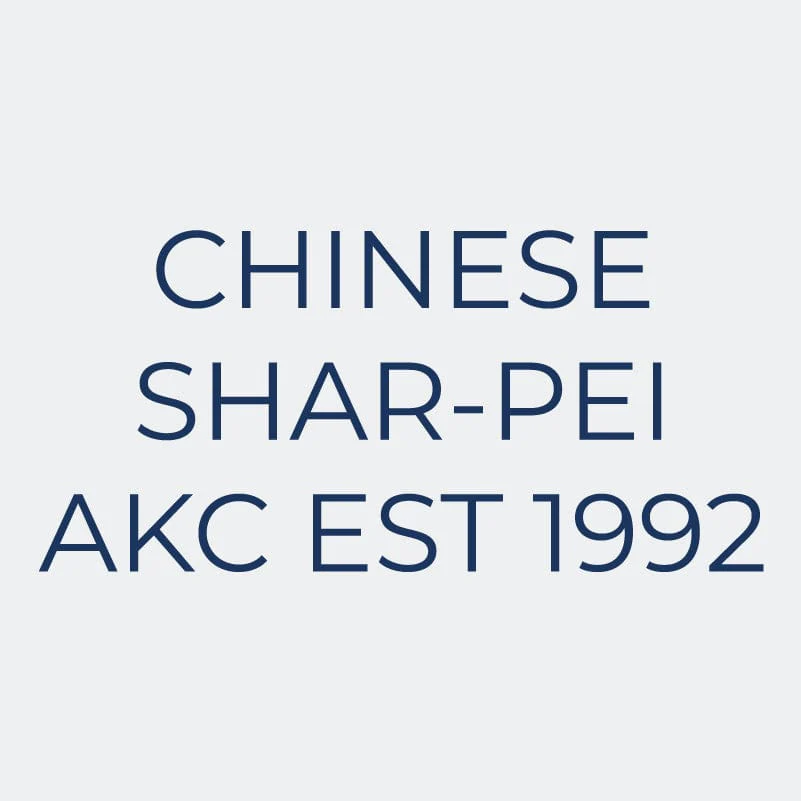 Chinese Shar-Pei  Embroidered AKC Women's Polo - Image 9