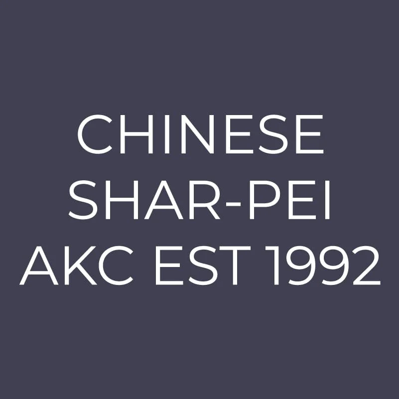 Chinese Shar-Pei Embroidered AKC Men's Polo - Image 8