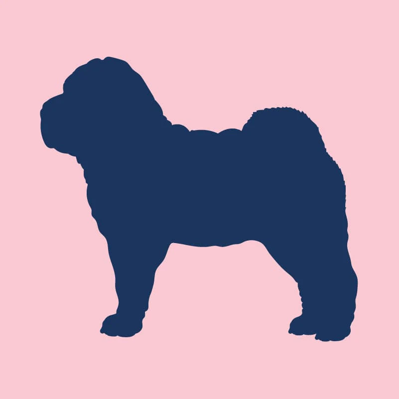 Chinese Shar-Pei Infant Onesie - Image 8