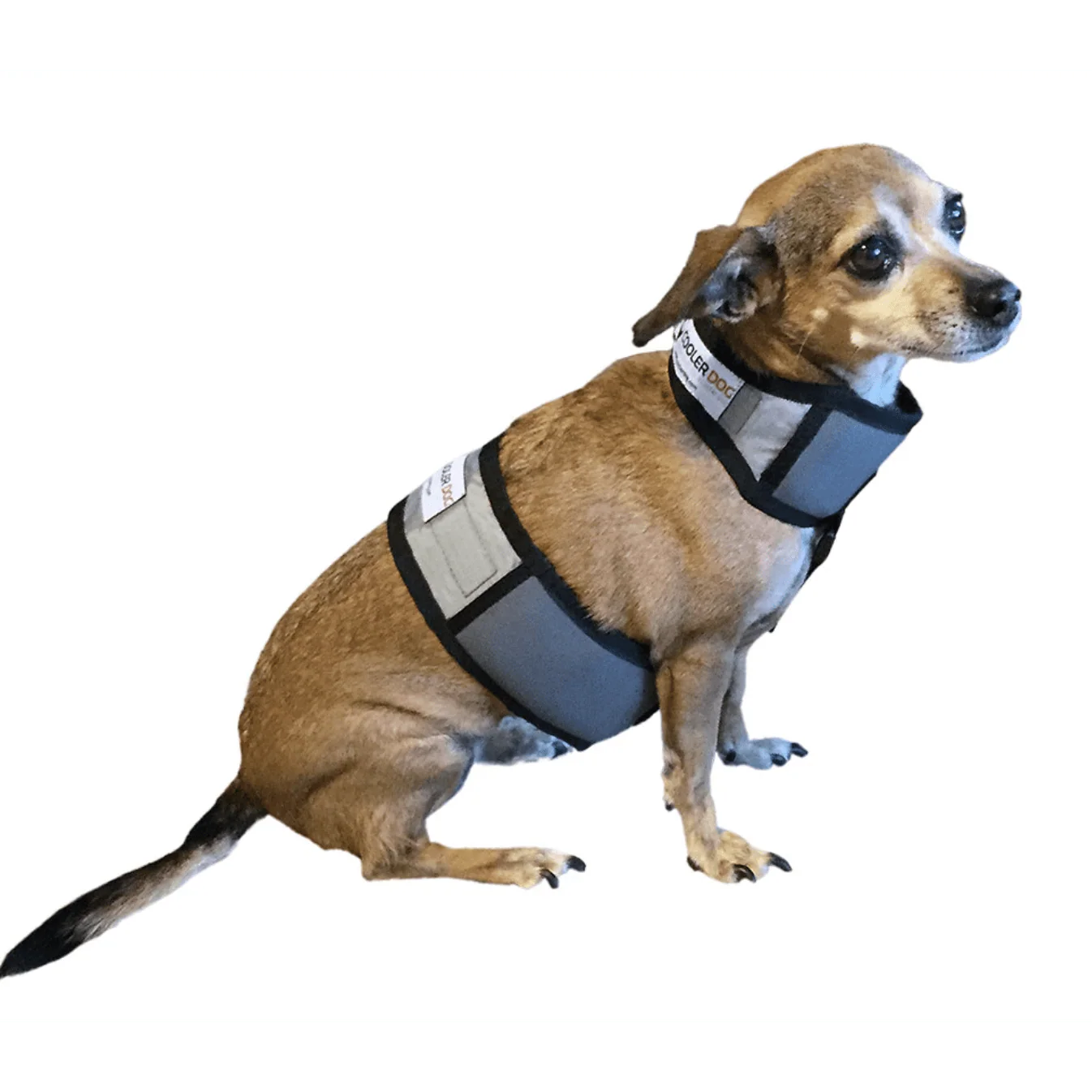 Cooling Vest and Collar - Image 5