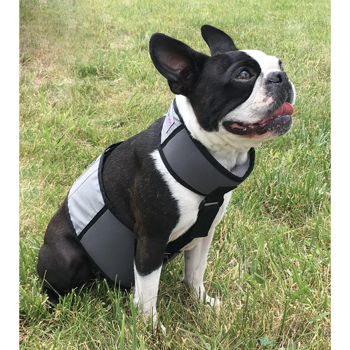 Cooling Vest and Collar - Image 6