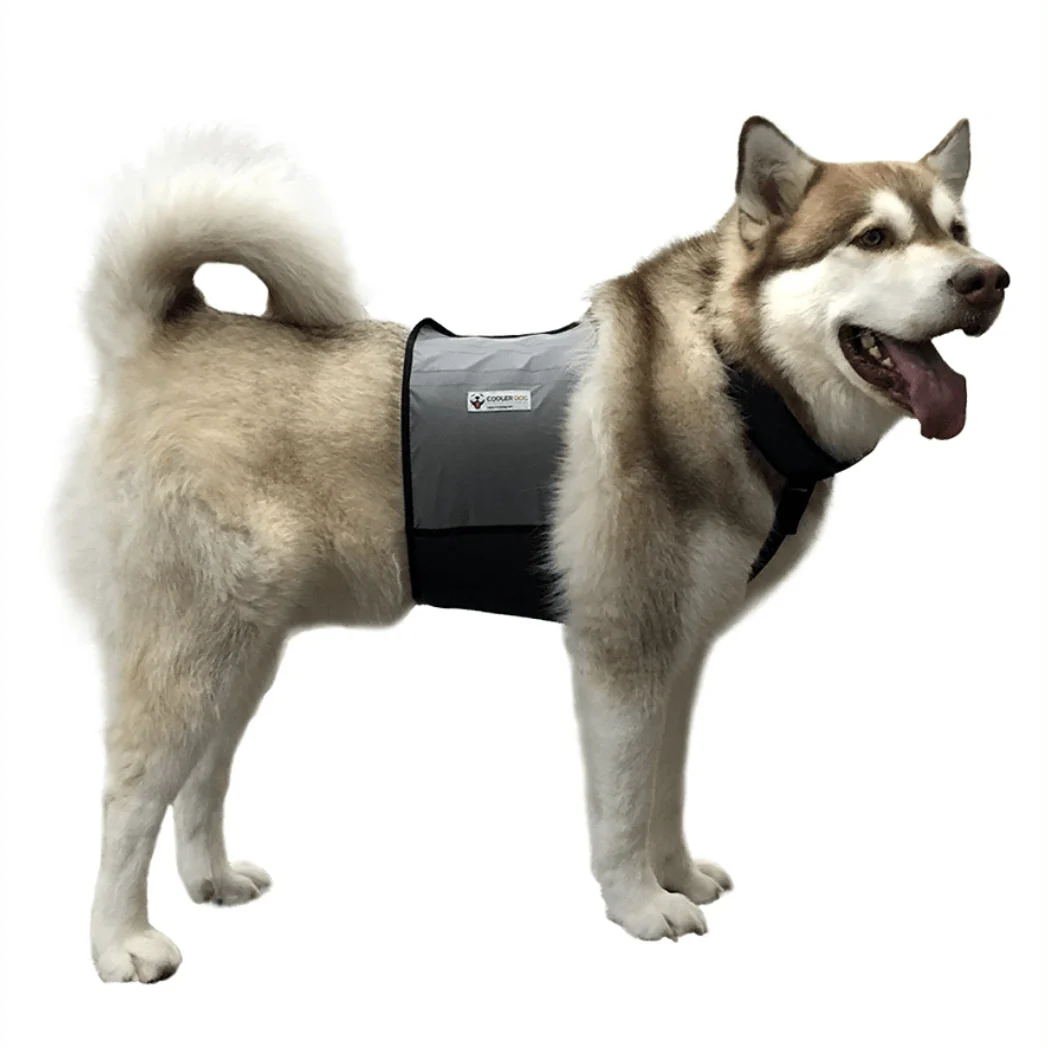 Cooling Vest and Collar - Image 7
