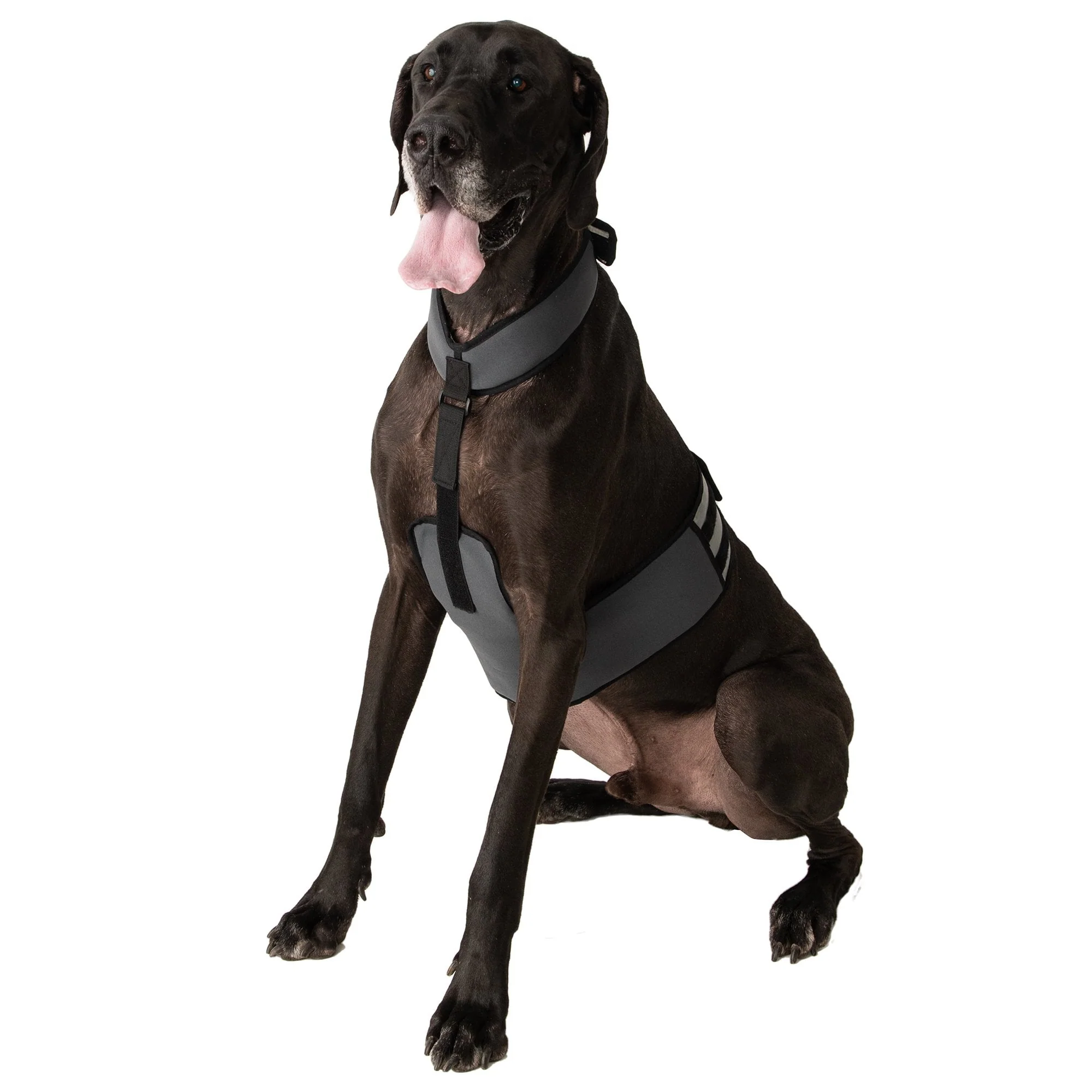 Cooling Vest and Collar - Image 8