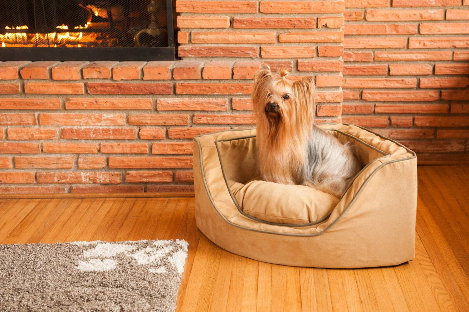 Corner Dog Bed