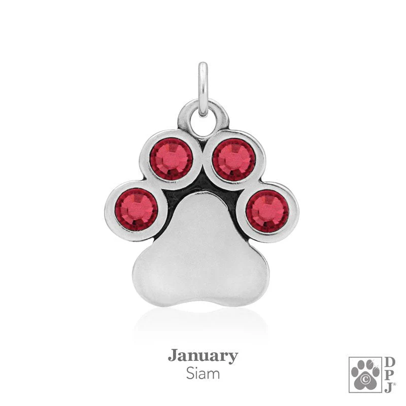 You Are My Shining Light Birthstone Paw Print Earrings - Image 3