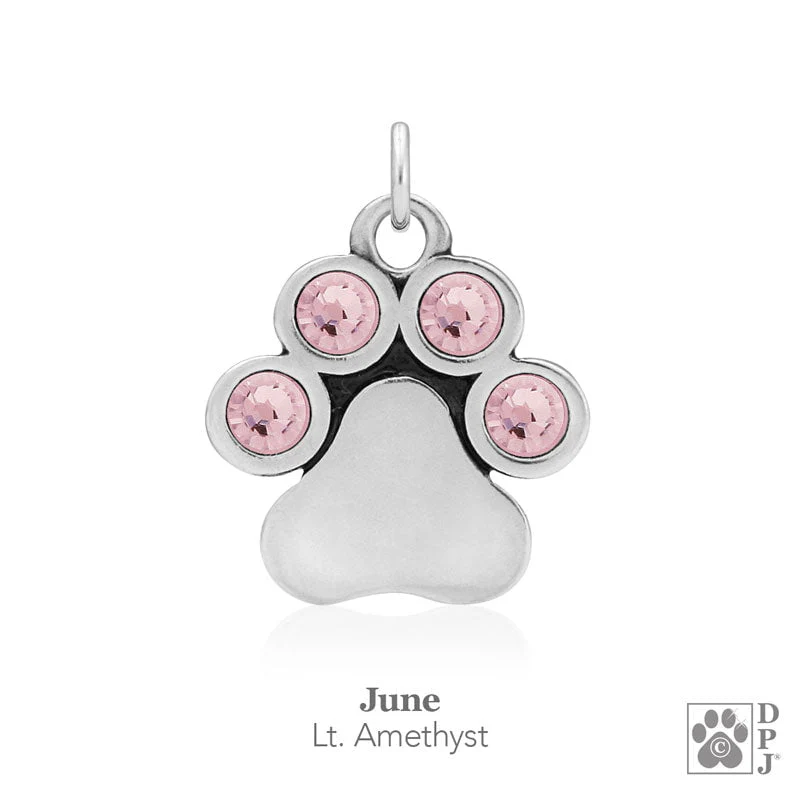 You Are My Shining Light Birthstone Paw Print Earrings - Image 7