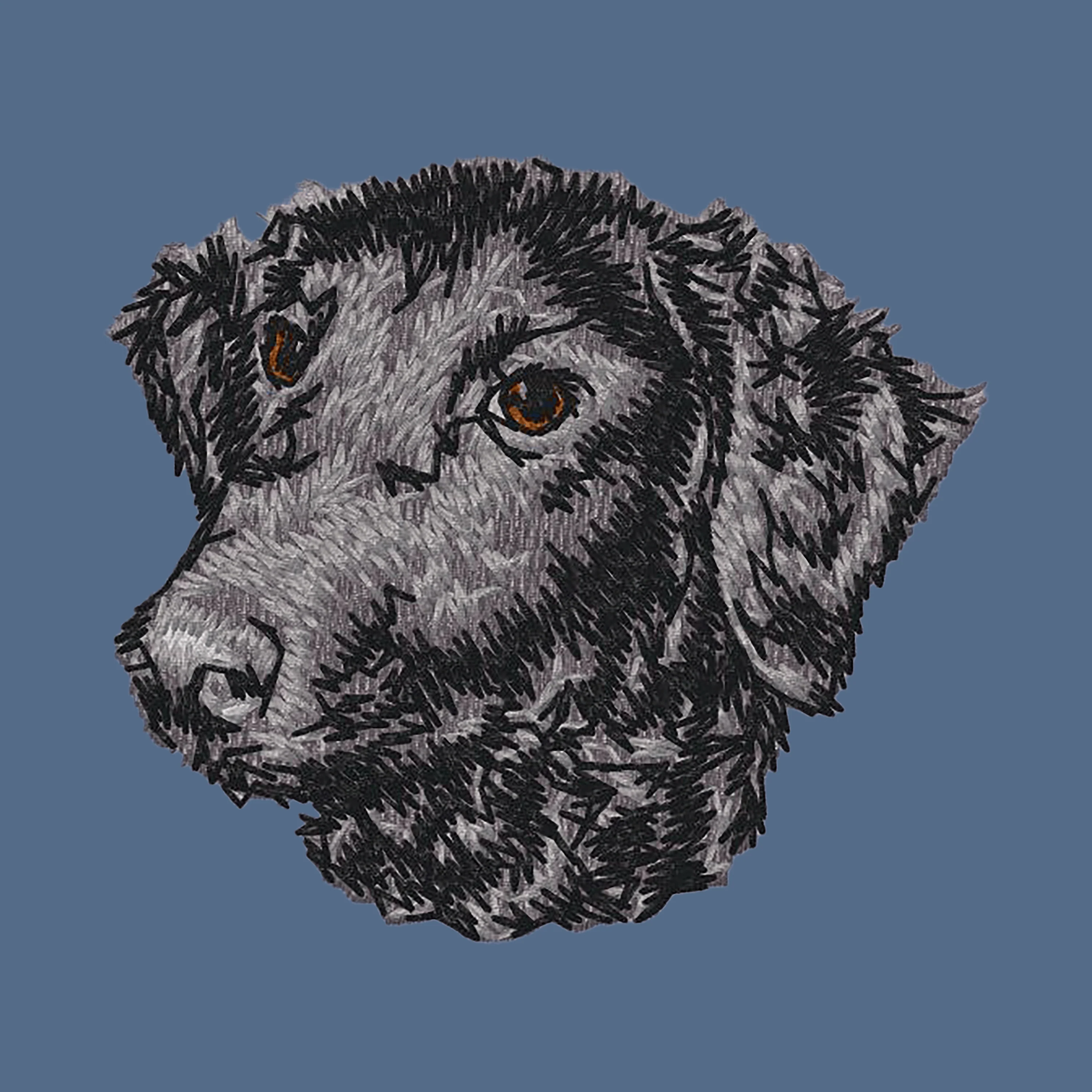 Curly-Coated Retriever Embroidered Women's Denim Shirt - Image 4
