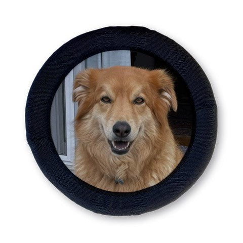 Custom FOTOFRISBY Flying Dog Disc Toy - Image 2