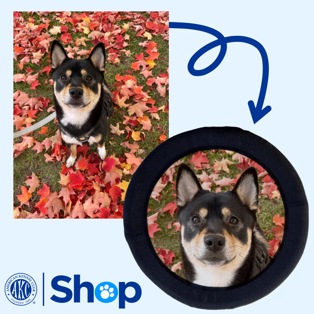 Custom FOTOFRISBY Flying Dog Disc Toy - Image 3