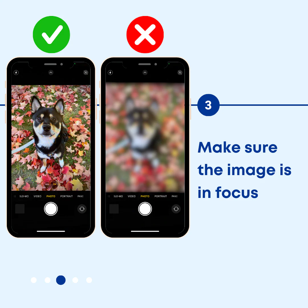 Custom FOTOFRISBY Flying Dog Disc Toy - Image 6