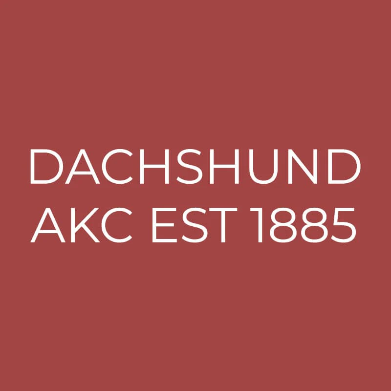 Dachshund Embroidered AKC Quarter Zip - Image 12