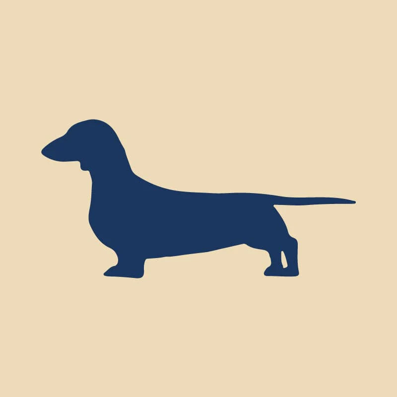 Dachshund Embroidered AKC Quarter Zip - Image 17