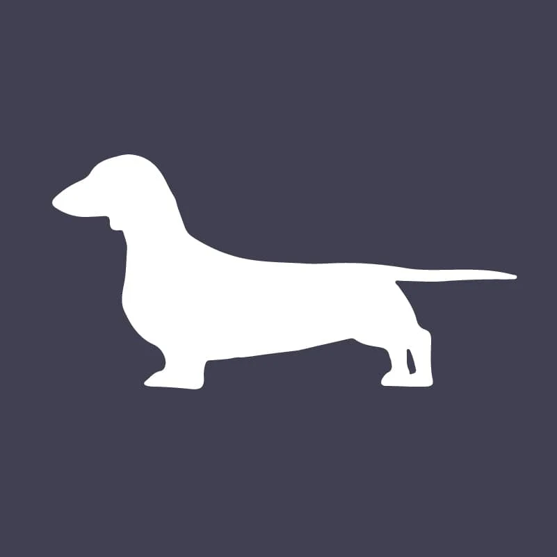 Dachshund Embroidered AKC Men's Polo - Image 8