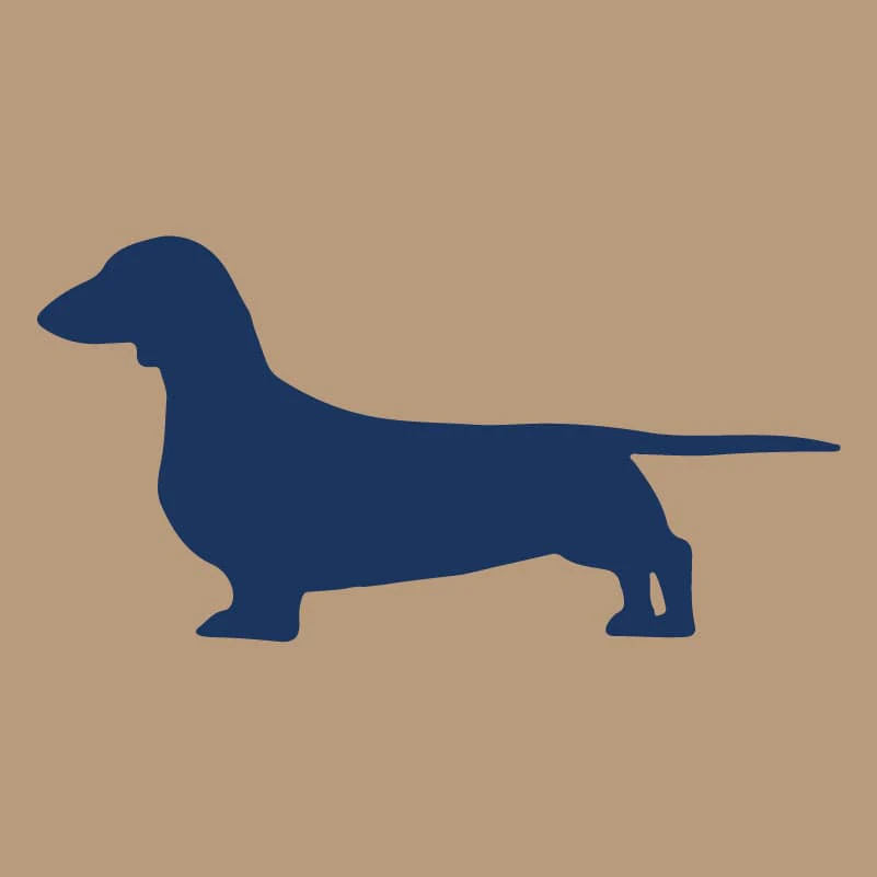 Dachshund AKC Embroidered Visor - Image 4