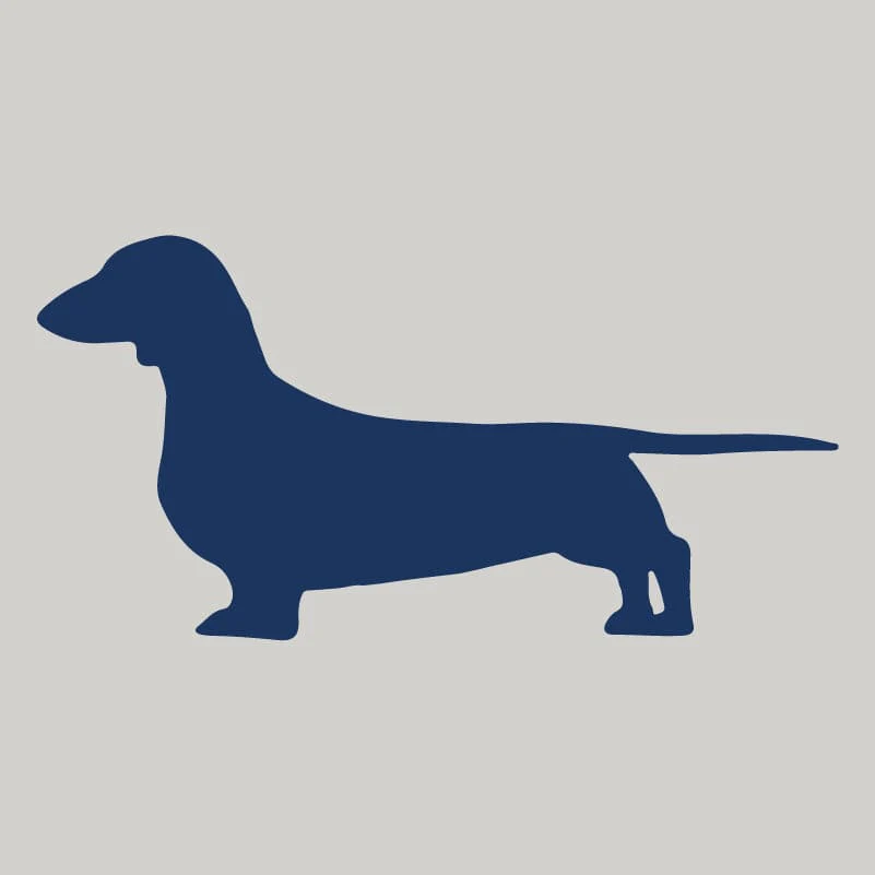 Dachshund AKC Embroidered Visor - Image 8
