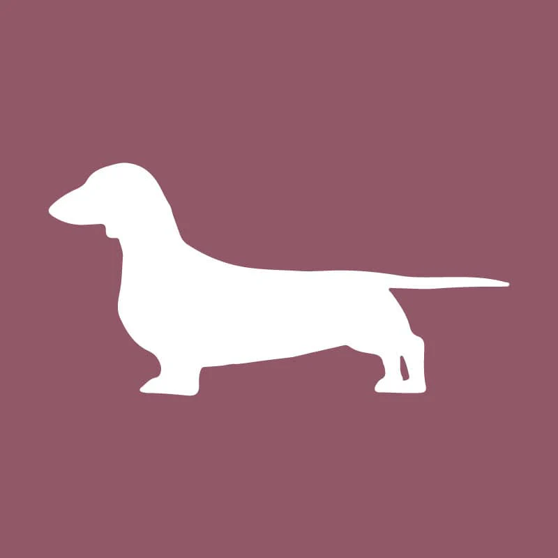 Dachshund  Beanie - Image 2