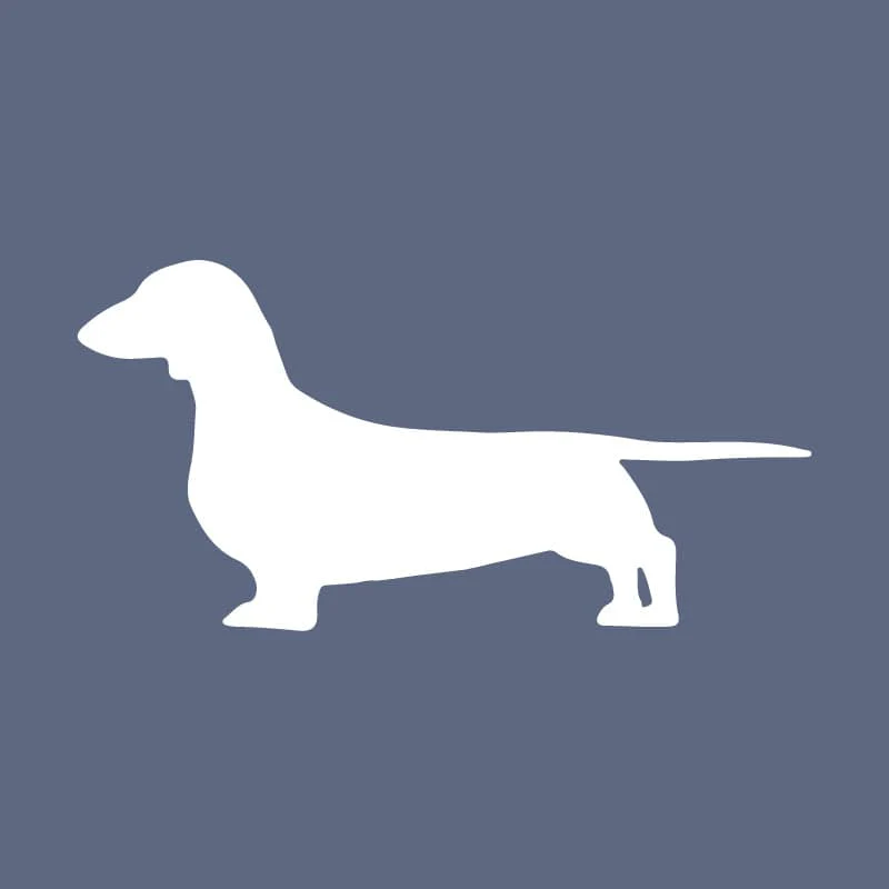Dachshund  Beanie - Image 4