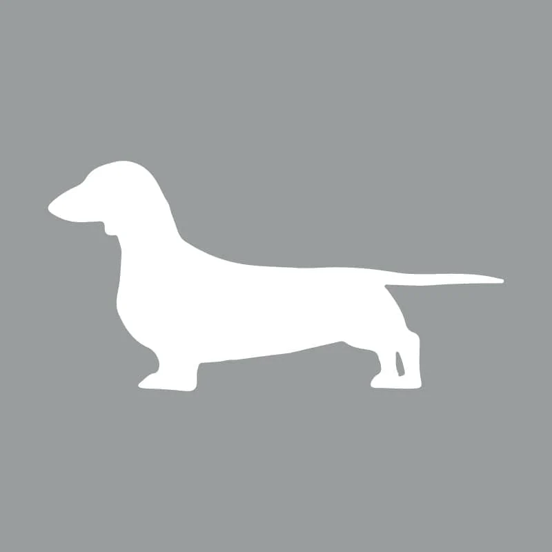 Dachshund  Beanie - Image 6