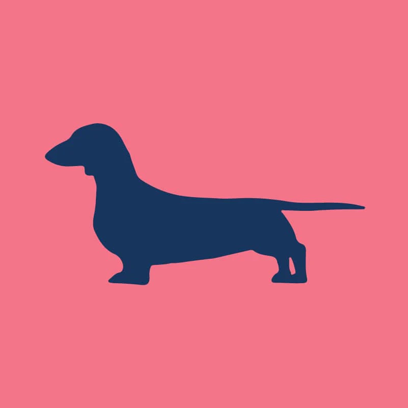 Dachshund Toddler Full Zip Sweatshirt - Image 2