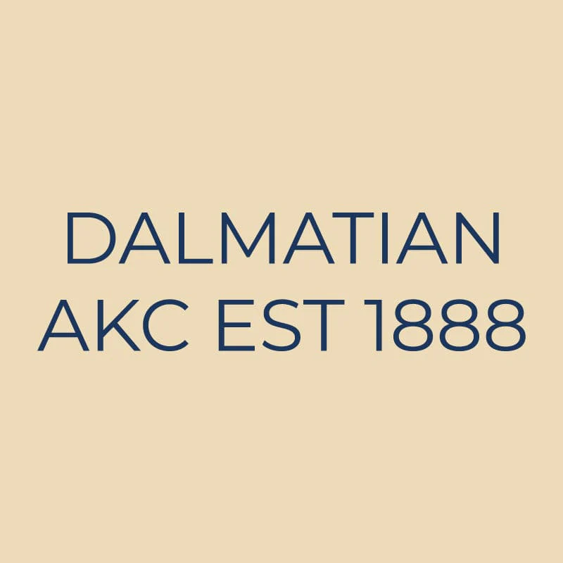 Dalmatian Embroidered AKC Quarter Zip - Image 15