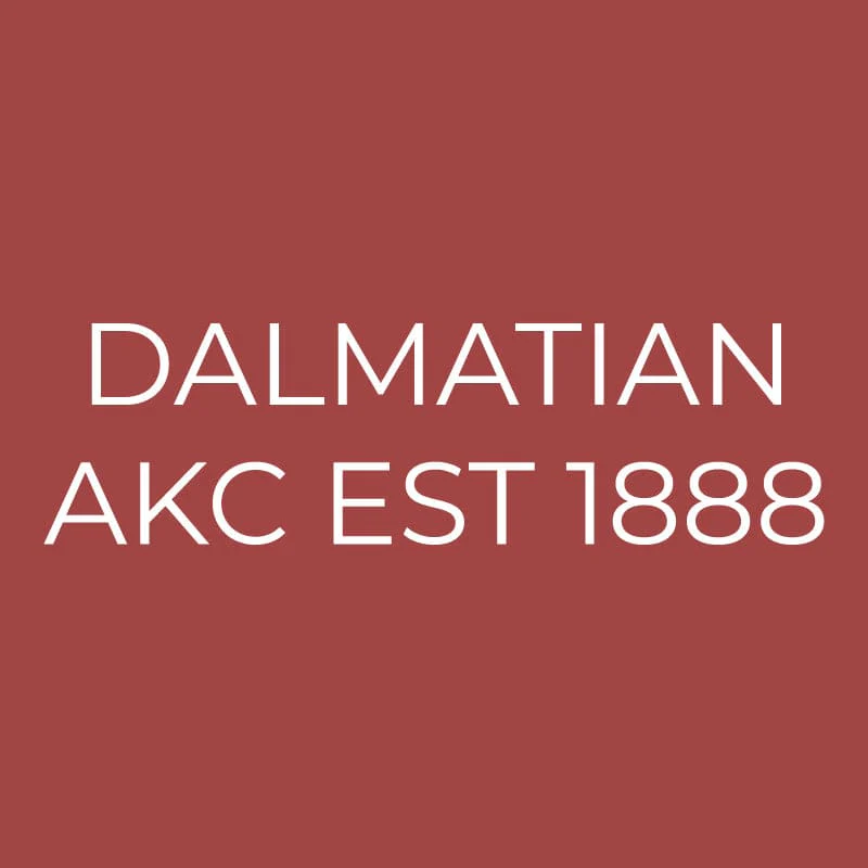 Dalmatian Embroidered AKC Quarter Zip - Image 3