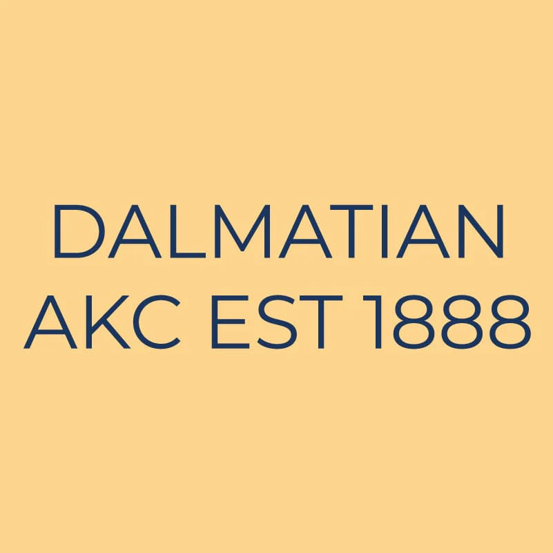 Dalmatian Embroidered AKC Quarter Zip - Image 6