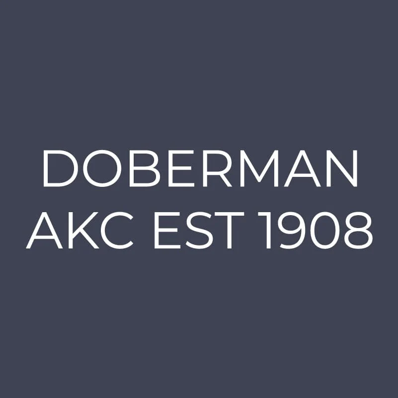 Doberman Pinscher Embroidered AKC Quarter Zip - Image 12
