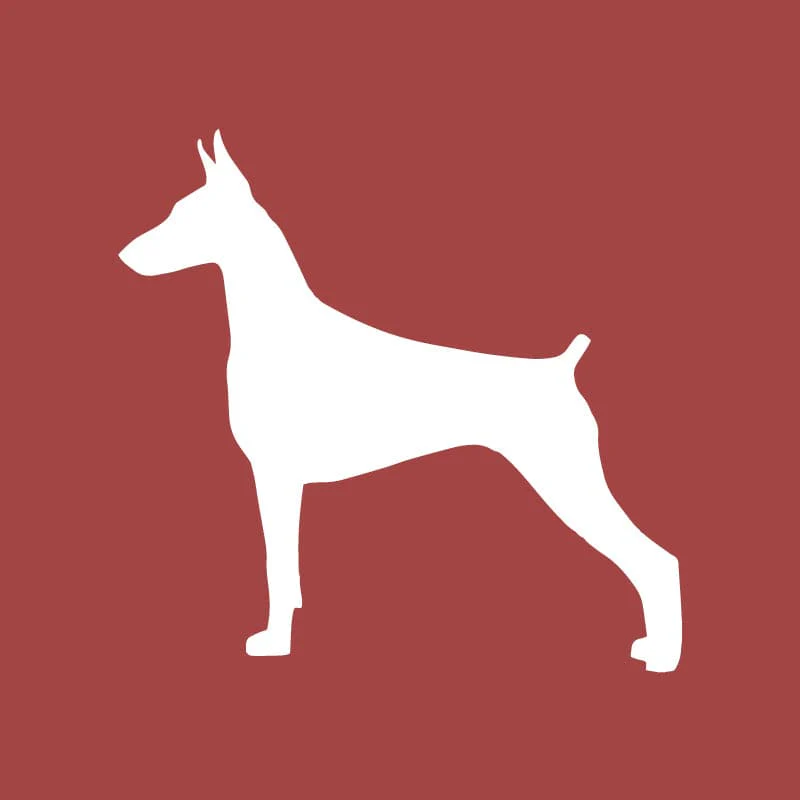Doberman Pinscher Embroidered AKC Quarter Zip - Image 14