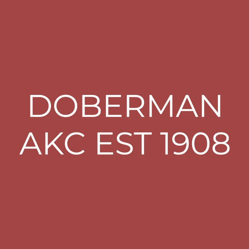Doberman Pinscher Embroidered AKC Quarter Zip - Image 15