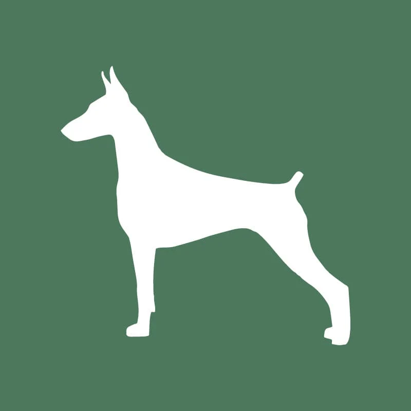 Doberman Pinscher Embroidered AKC Quarter Zip - Image 17