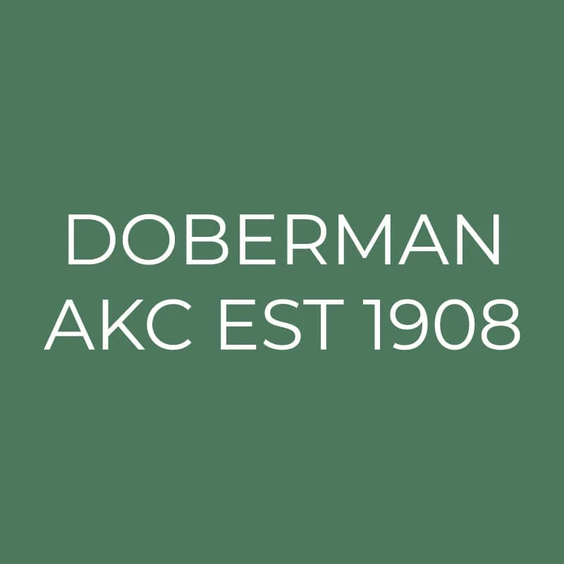 Doberman Pinscher Embroidered AKC Quarter Zip - Image 18