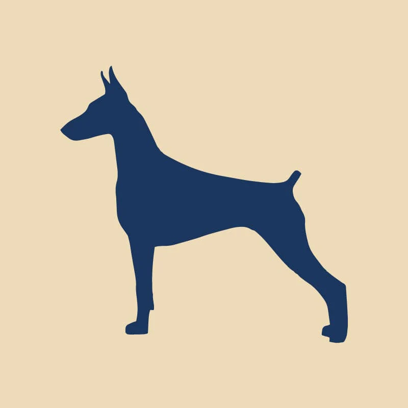 Doberman Pinscher Embroidered AKC Quarter Zip - Image 2