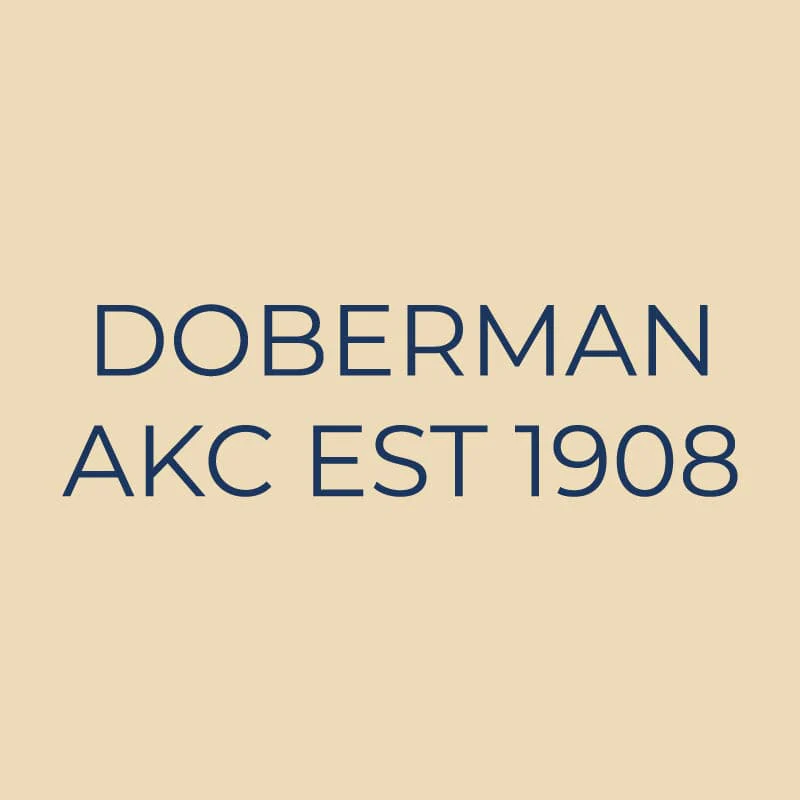 Doberman Pinscher Embroidered AKC Quarter Zip - Image 3