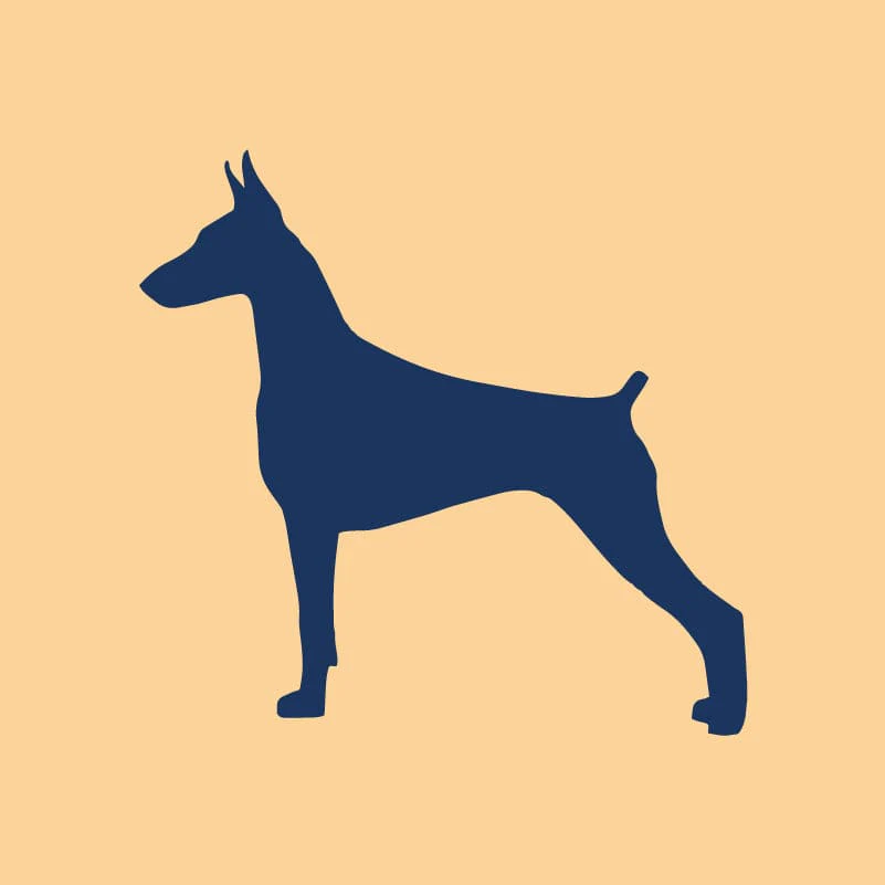 Doberman Pinscher Embroidered AKC Quarter Zip - Image 5